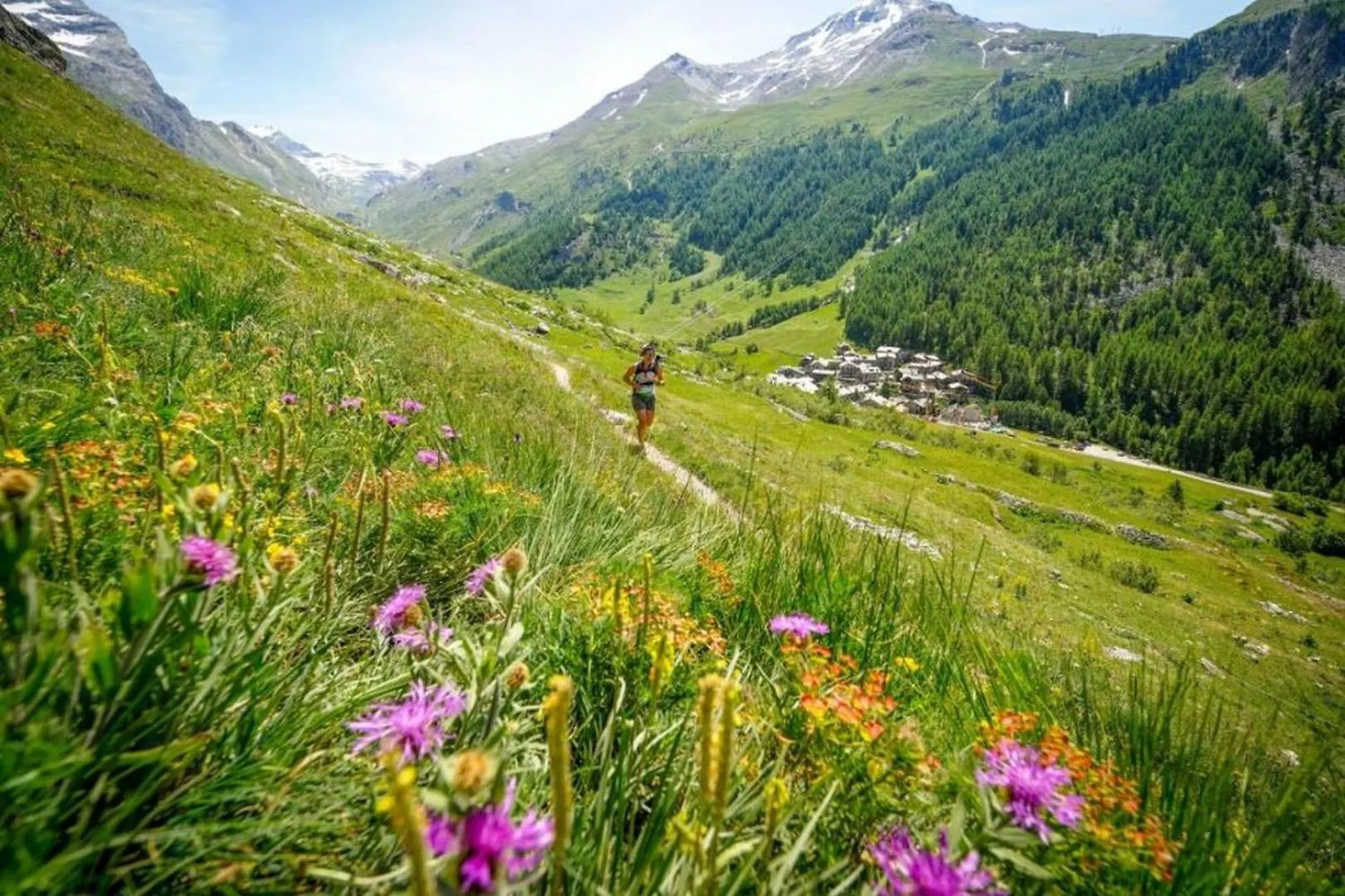 Apartment La Maisonnee Chamonix